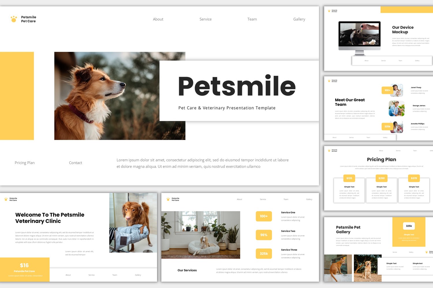 Free Pet Care and Vetenary Presentation Template - Petsmile